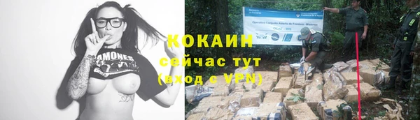 mdpv Остров