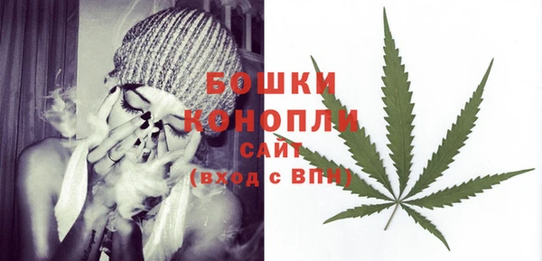 apvp Няндома