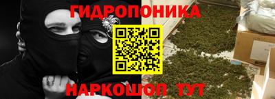 шишки Берёзовский