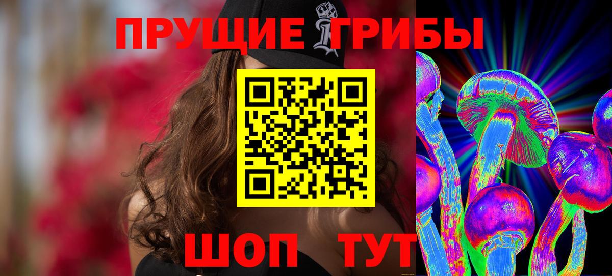ГАШ Саратов