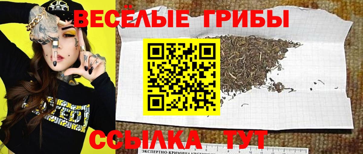 Галлюциногенные грибы Magic Shrooms Саратов