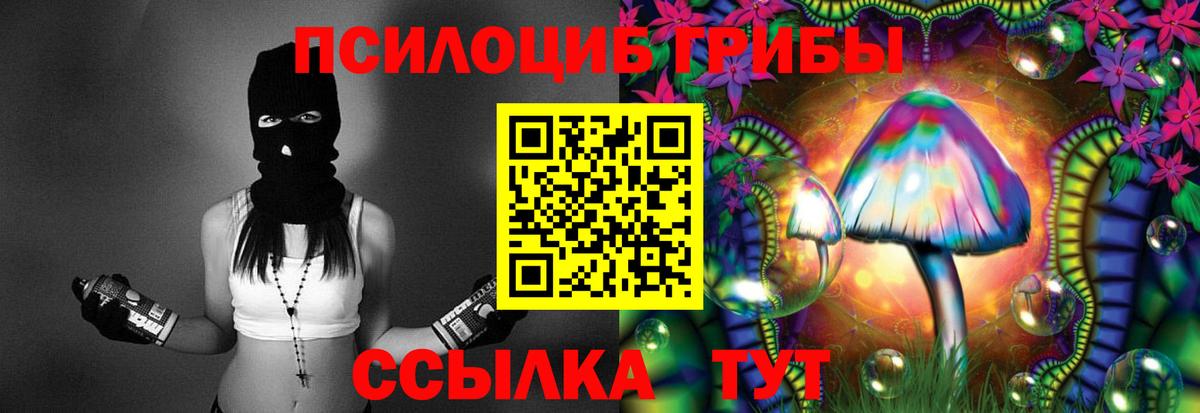 Галлюциногенные грибы Psilocybine cubensis  Галлюциногенные грибы Magic Shrooms  Саратов 